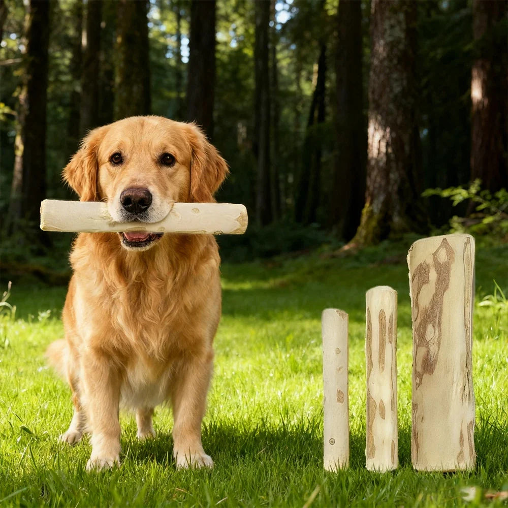 1 PC Natural Coffee Wood Dog Chew Stick - MyPetDollar.com