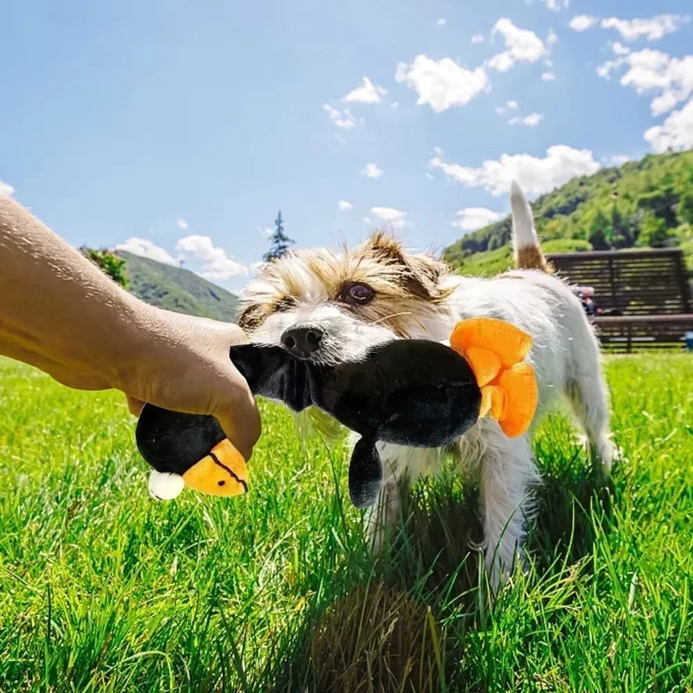 Screaming Chicken Dog Toy Bite Resistant - MyPetDollar.com