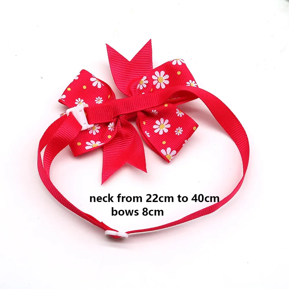 50/100pcs Spring Pet Supplies Cat Pet Dog - MyPetDollar.com