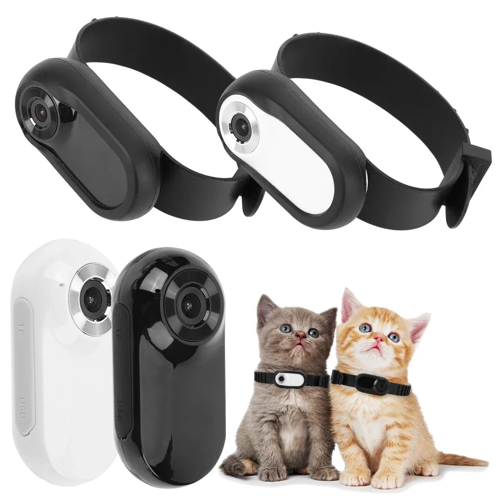 HD 1080P Dog Tracker Collar No WiFi Needed - MyPetDollar.com