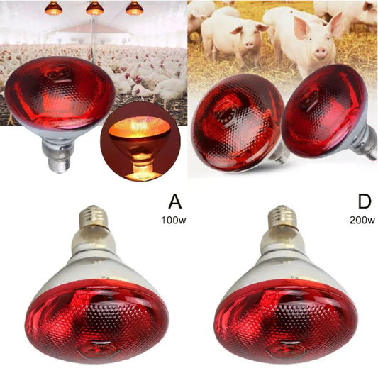 Breeding Heating Lamp E27 220V 100-275 Watts - MyPetDollar.com