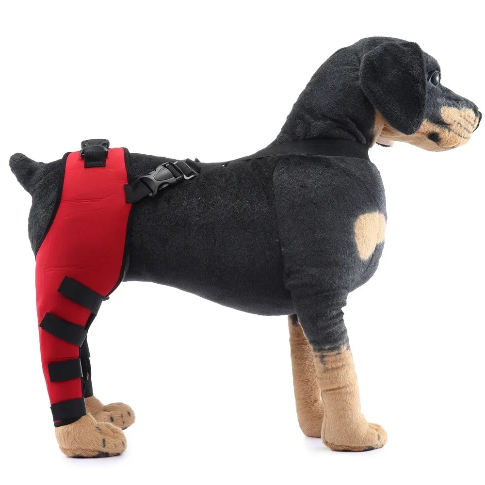 Pet Puppy Knee Pads Dog Back Leg Braces for - MyPetDollar.com
