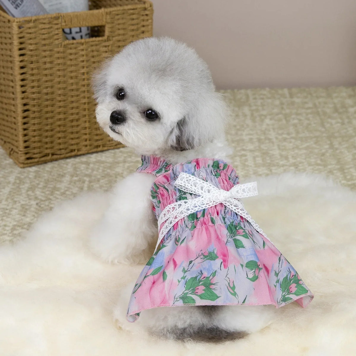 Yorkshire French Waist Skirt Dog Spring and - MyPetDollar.com