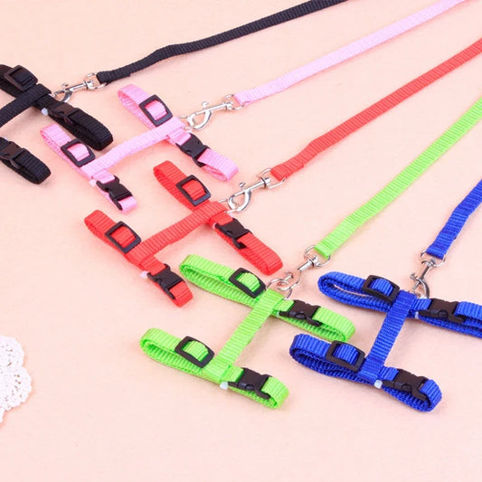 Hot-selling cat chest strap simple design - MyPetDollar.com