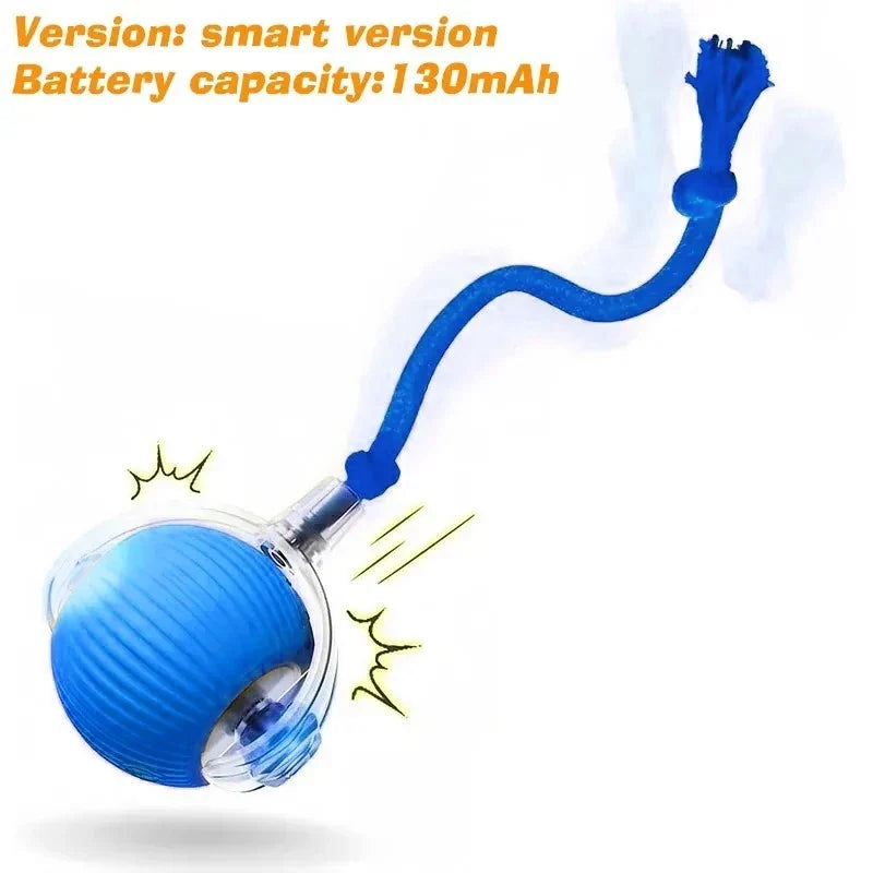 Dog Interactive Ball Toy Automatic Rolling - MyPetDollar.com