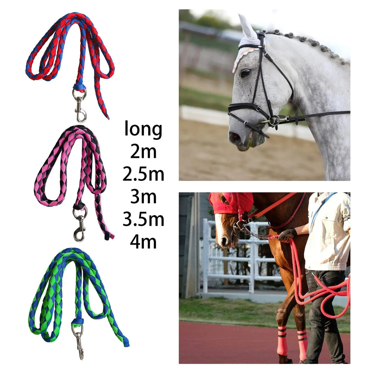 Livestock Training Lead Rope Heavy Duty PP - MyPetDollar.com