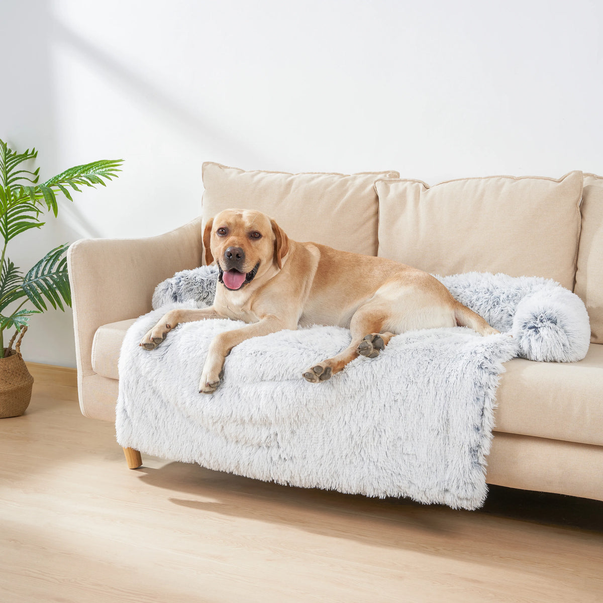 Washable Pet Sofa Blanket, Calming Bed for - MyPetDollar.com