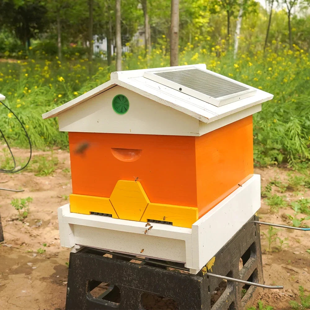 Price Digital Intelligent Bee Hive - MyPetDollar.com