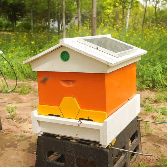 Price Digital Intelligent Bee Hive - MyPetDollar.com