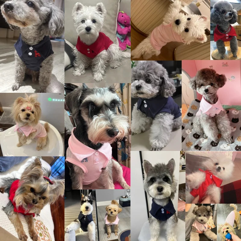 New Pet Dog Polo Shirt Dog Cool Clothes Soft - MyPetDollar.com