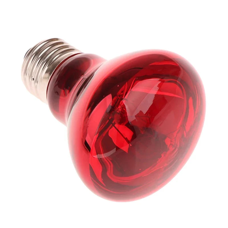 25/40/50/60/75/100W E27 UVA Poultry Bulb - MyPetDollar.com
