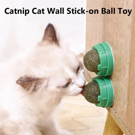 Catnip Cat Wall Sticky Ball Toy Natural Cat - MyPetDollar.com