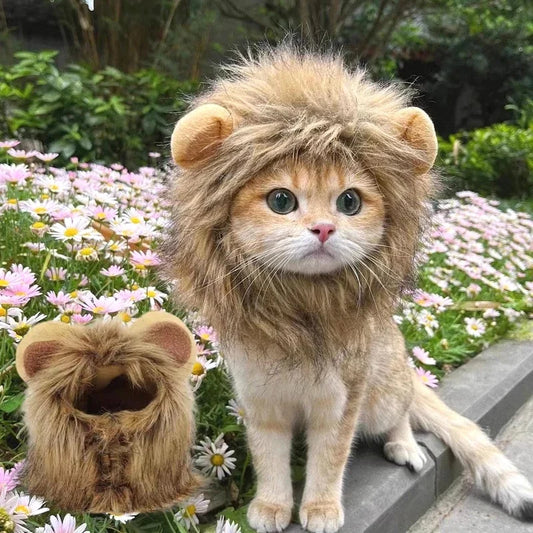 Cute Cat Hat Lion Headgear Elastic Autumn - MyPetDollar.com