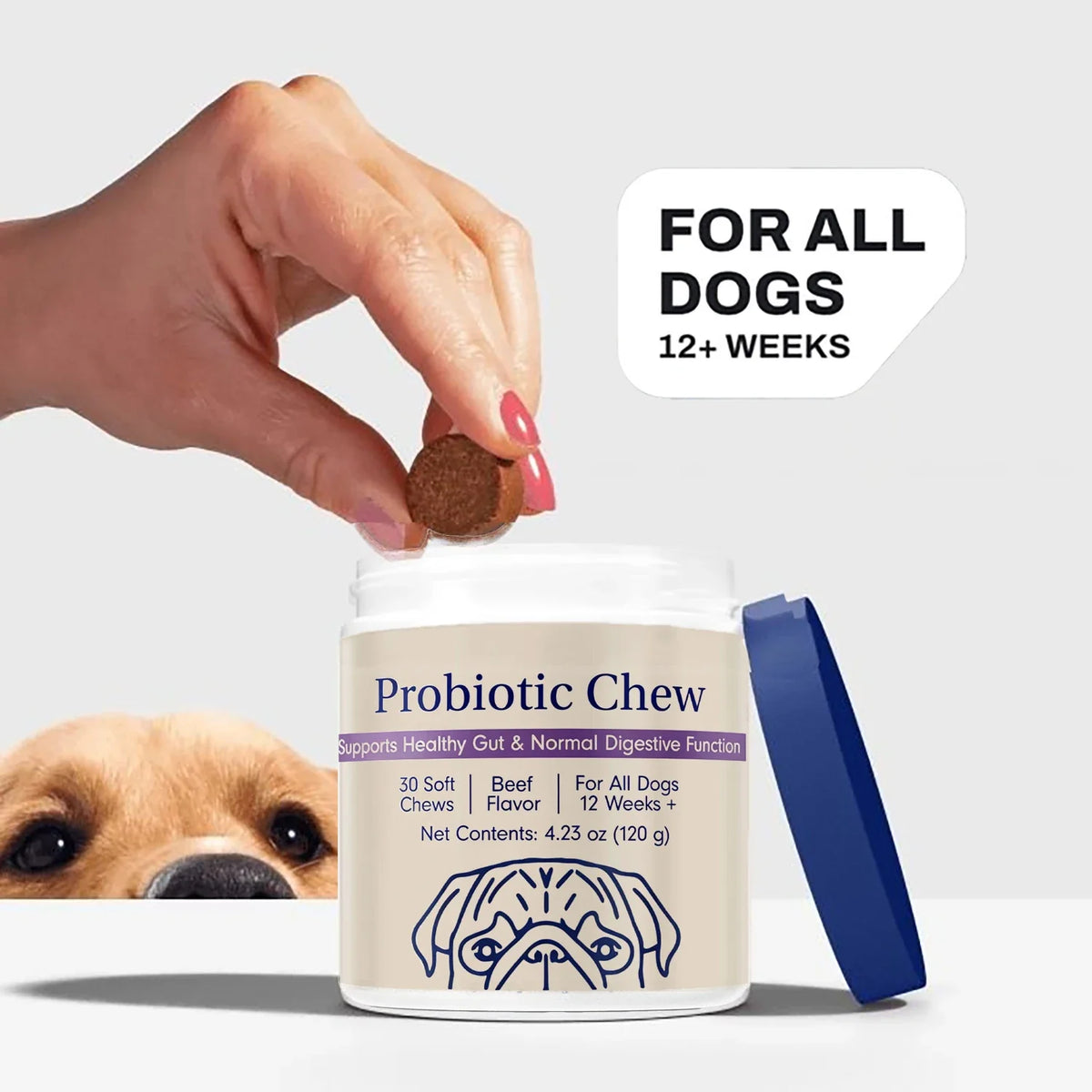 Dog Probiotics Chews - Dog Probiotics for - MyPetDollar.com