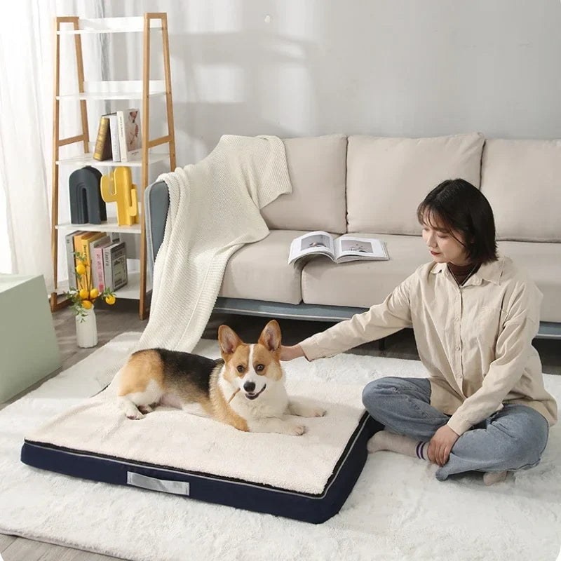 Memory Foam Pet Mat Teddy Golden Retriever - MyPetDollar.com