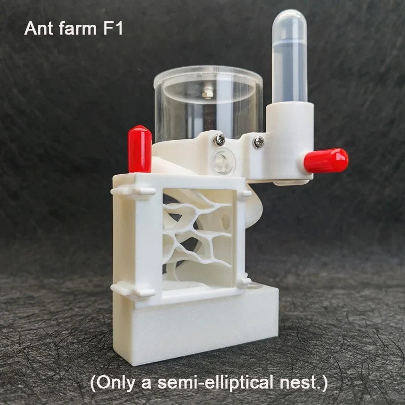 3D Print Three-dimensional Ant Farm with - MyPetDollar.com