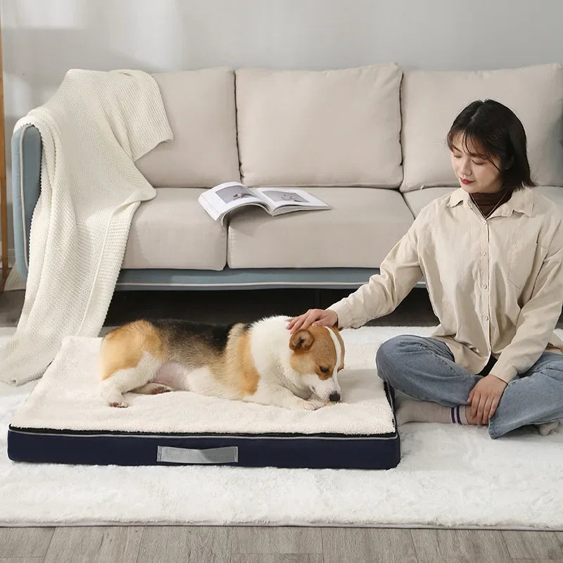 Memory Foam Pet Mat Teddy Golden Retriever - MyPetDollar.com