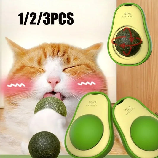 Natural Catnip Healthy Pet Cat Toy Wall - MyPetDollar.com