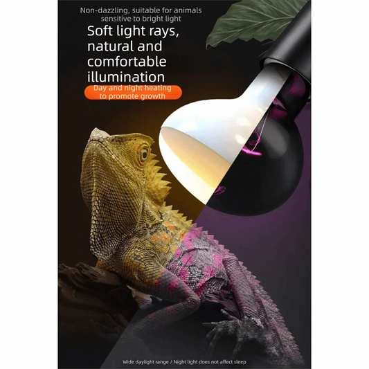 Heater Bulb 110/220V Reptile Heating Lamp - MyPetDollar.com