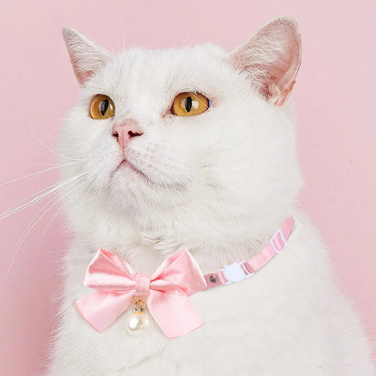 Cute Cats Collar Kitten Fairy Pink Lace Bow - MyPetDollar.com
