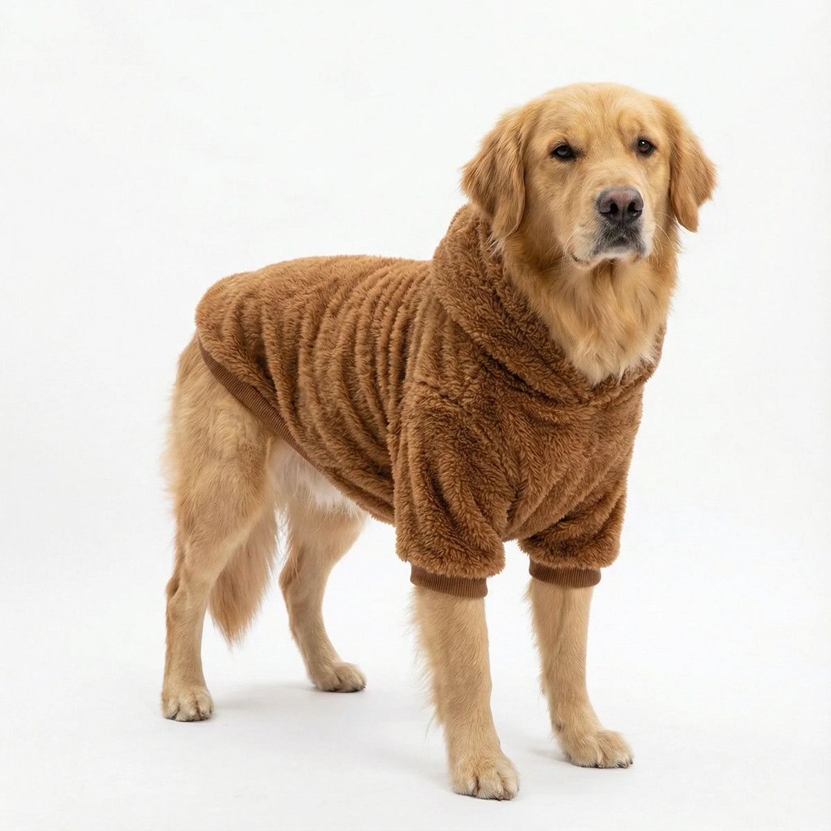 Labrador Golden Retriever Clothing Winter - MyPetDollar.com