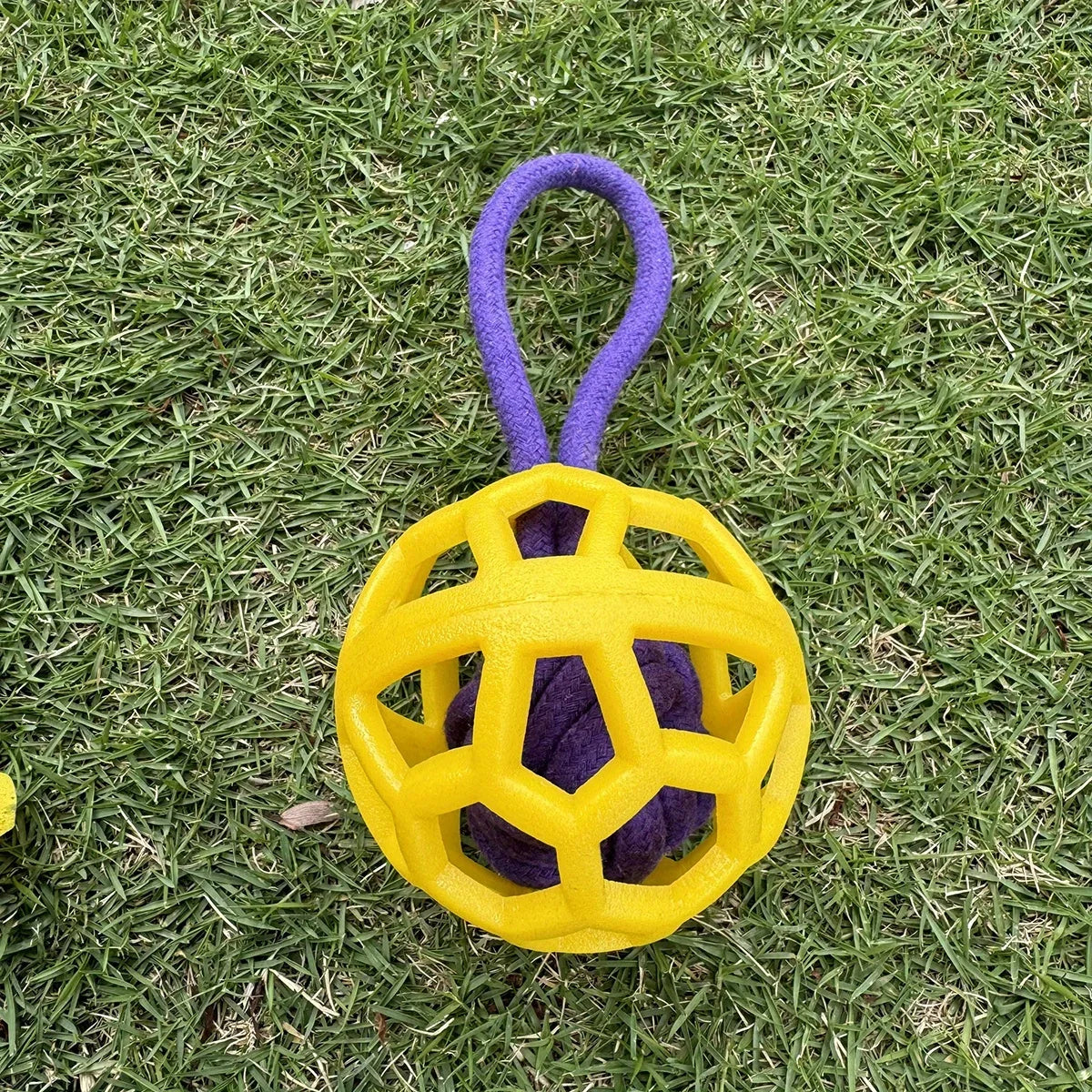 Durable Hollow TPR Dog Chew Ball with Braided Rope – Dog Supplies