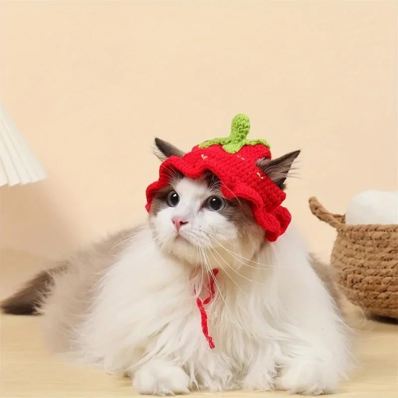 Cat Hats Elastic Cute Puppy Kittens Hat - MyPetDollar.com