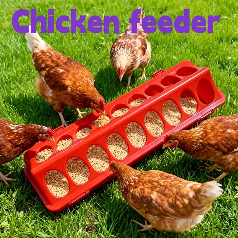 Multi-Hole Chick Brooder Feeding Trough, - MyPetDollar.com
