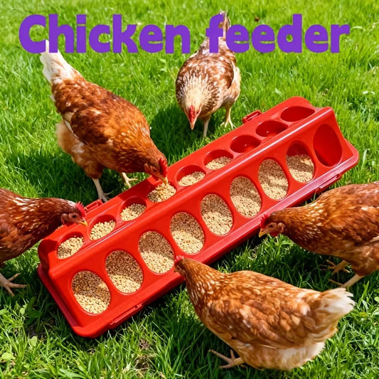 Multi-Hole Chick Brooder Feeding Trough, - MyPetDollar.com
