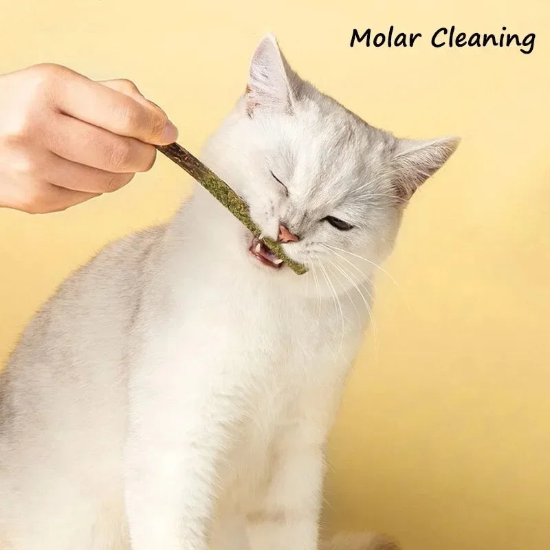 6pcs Natural Matatabi Cat Stick Mint Caught - MyPetDollar.com