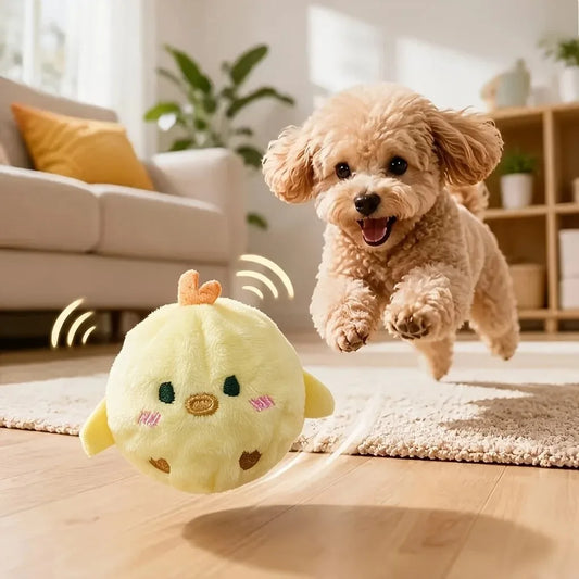 Interactive Squeaky Bouncing Chick Ball – - MyPetDollar.com
