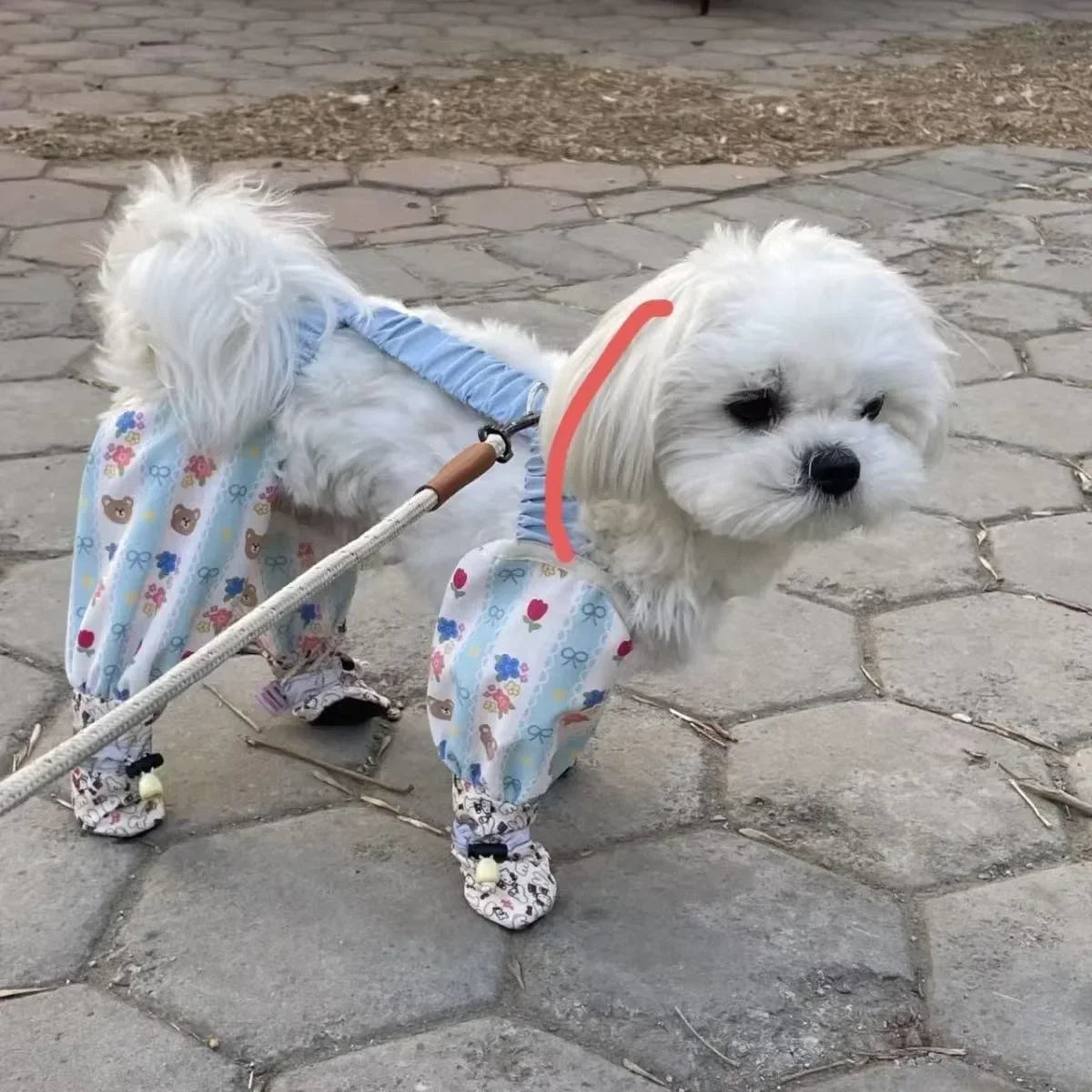 Summer Dog Jumpsuit Shoes Lightweight Leg - MyPetDollar.com