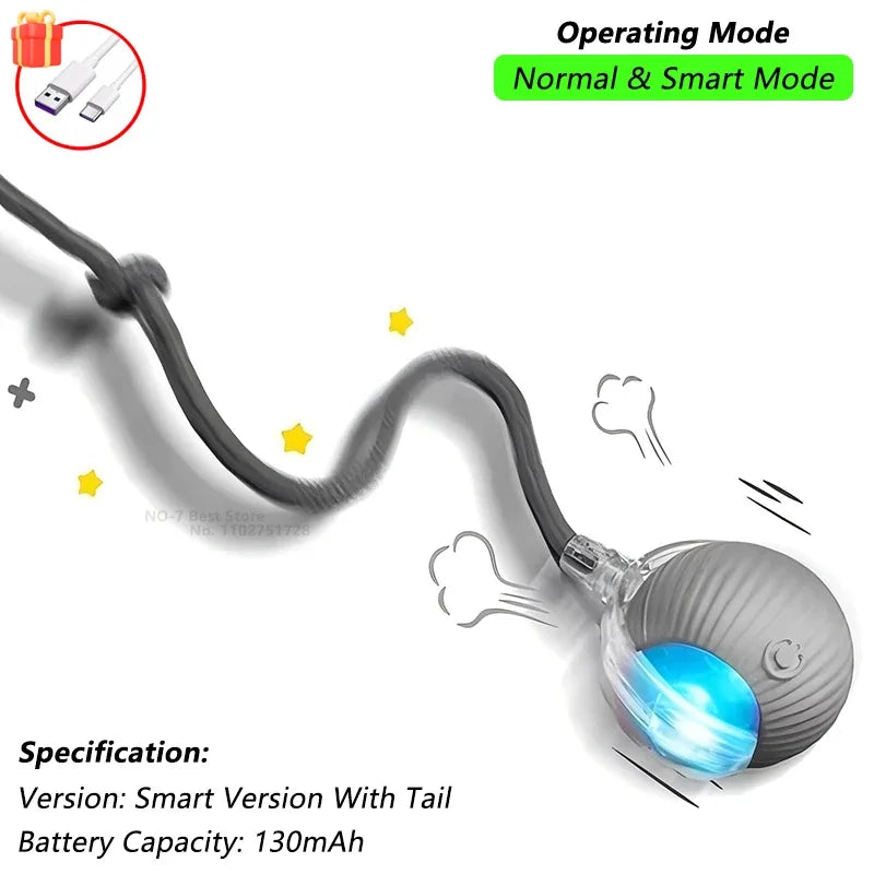 iLMH Indoor Interactive Birds Toy for Cat - MyPetDollar.com