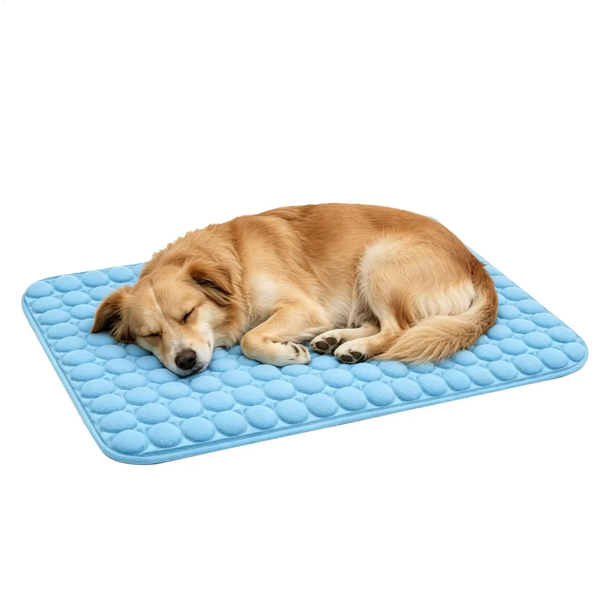 Dog Cooling Mat Summer Pet Cold Bed Extra - MyPetDollar.com