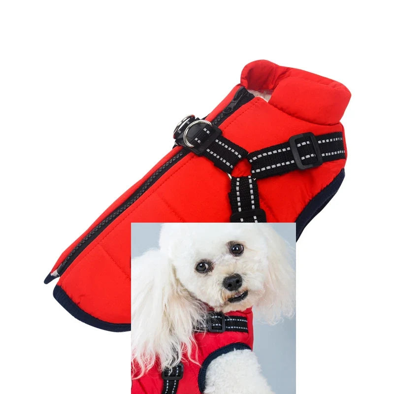 Customizable Winter Dog Clothes GWT330600 - MyPetDollar.com