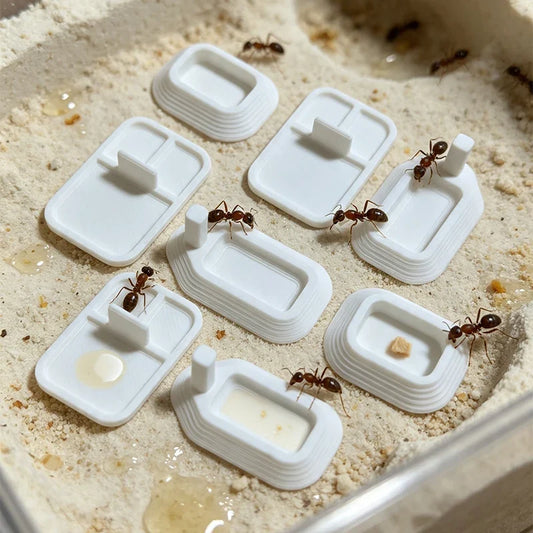 Ant Farm 3D Printing Feeding Basin Ant Water - MyPetDollar.com
