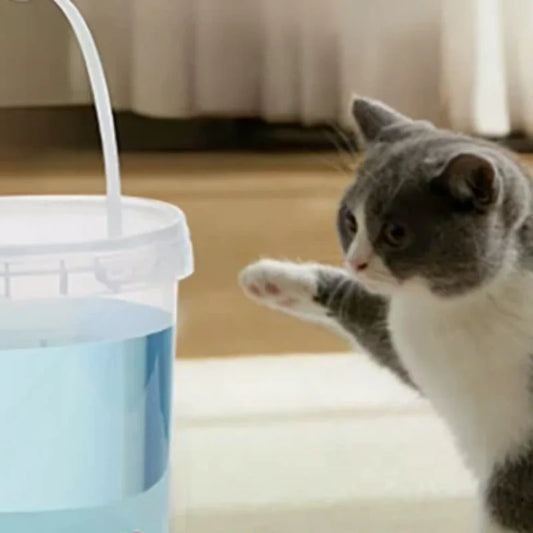 3/5/8/10L Automatic Pet Water Dispenser - MyPetDollar.com