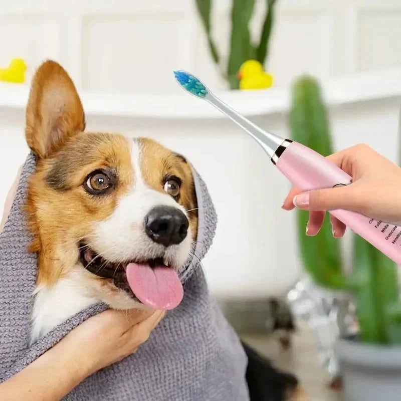 Pet Electric Toothbrush Dog Cat Teeth - MyPetDollar.com
