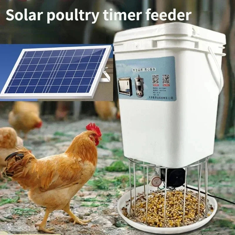 Solar poultry automatic timing feeder - MyPetDollar.com