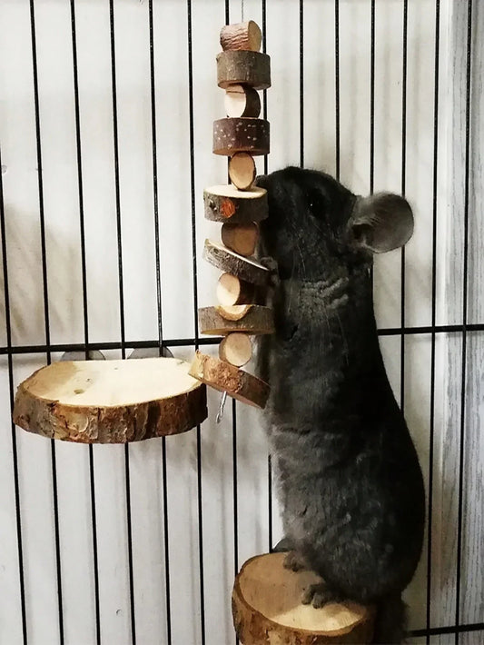 Hamster Rabbit Chew Toy Natural Wood Sticks - MyPetDollar.com
