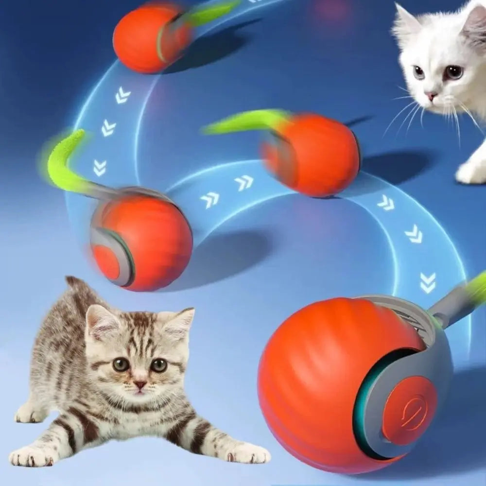 Speedy Tail 2.0 Cat Toys, Smart Interactive - MyPetDollar.com
