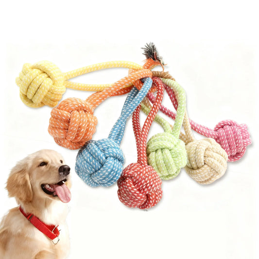 New Eco-friendly Durable Single Loop - MyPetDollar.com