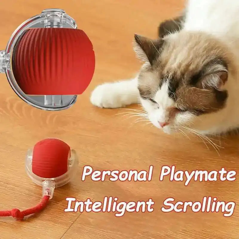 Smart Dog Interactive Ball Toys Automatic - MyPetDollar.com