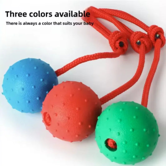 Indestructible Dog Ball Pet Training Dog Toy - MyPetDollar.com