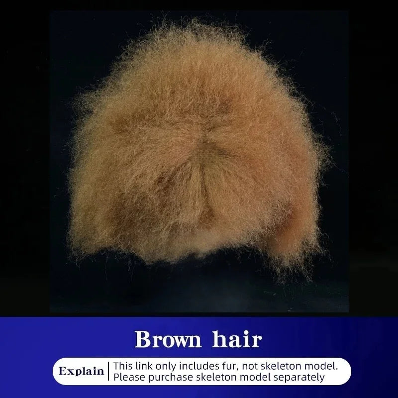 Pet Grooming Teddy Pet Simulated Head - MyPetDollar.com