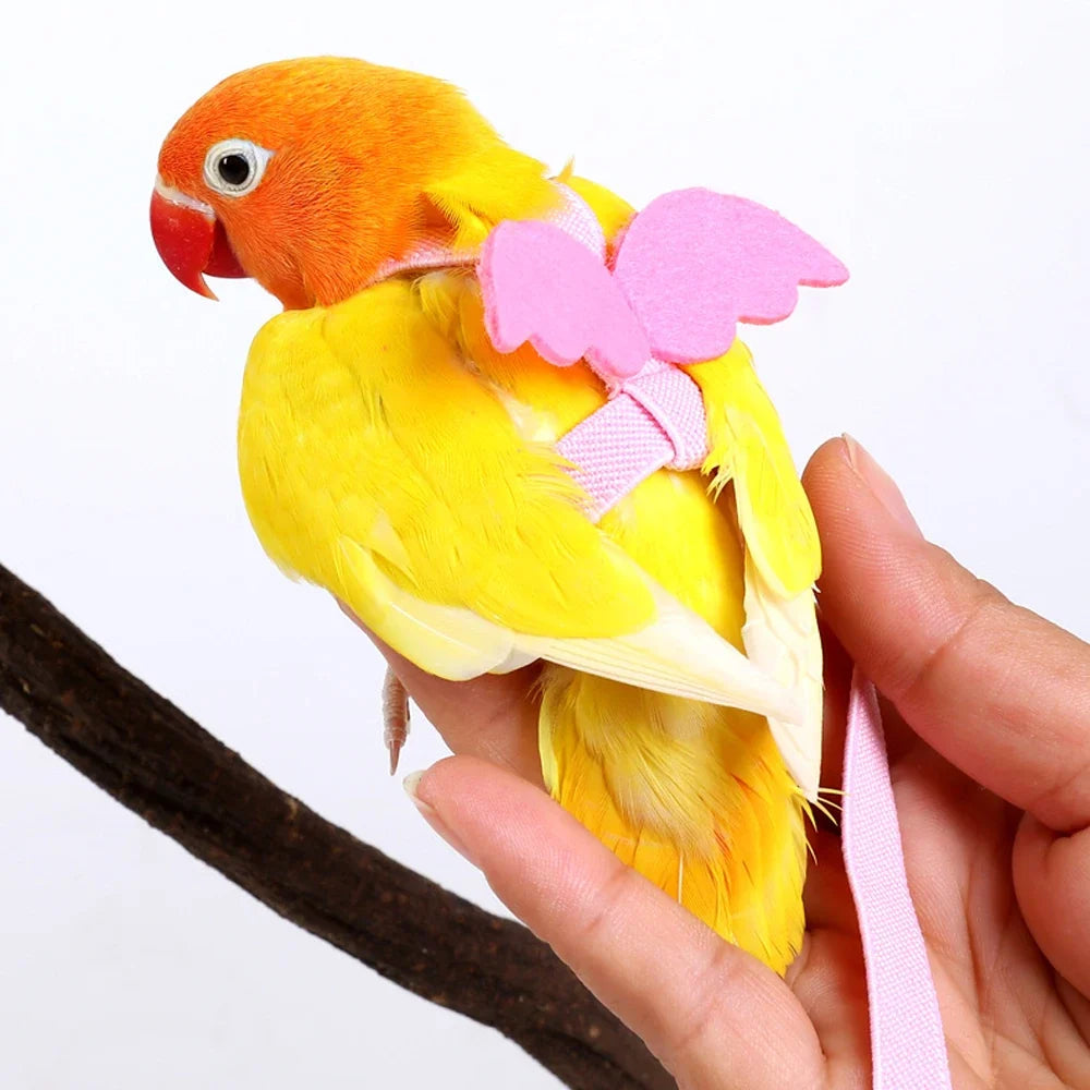 1pc Pet Parrot Bird Harness AdjustTraining - MyPetDollar.com