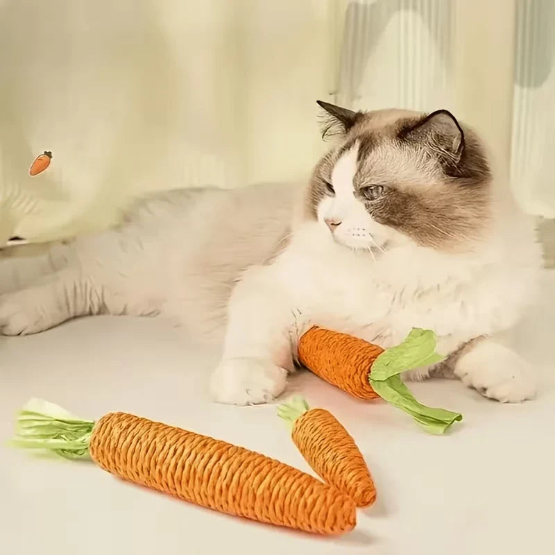 Carrot-Shaped Cat Chew Toys–Durable,Safe for - MyPetDollar.com