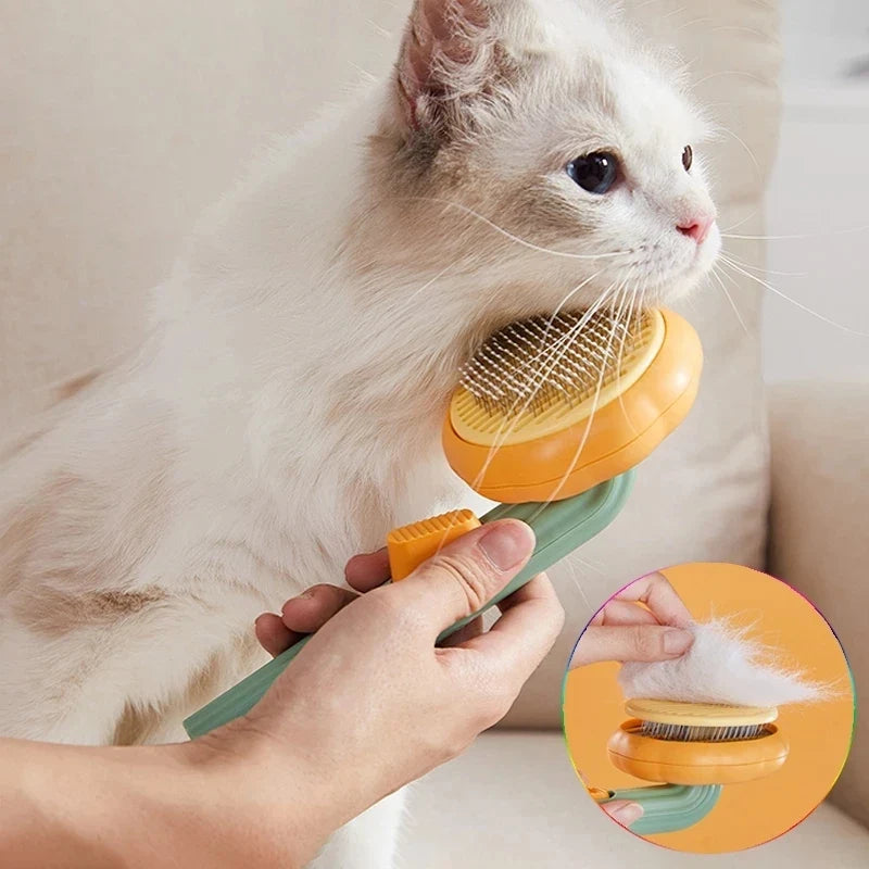 Pumpkin Cat Brush Comb For Pet Grooming - MyPetDollar.com