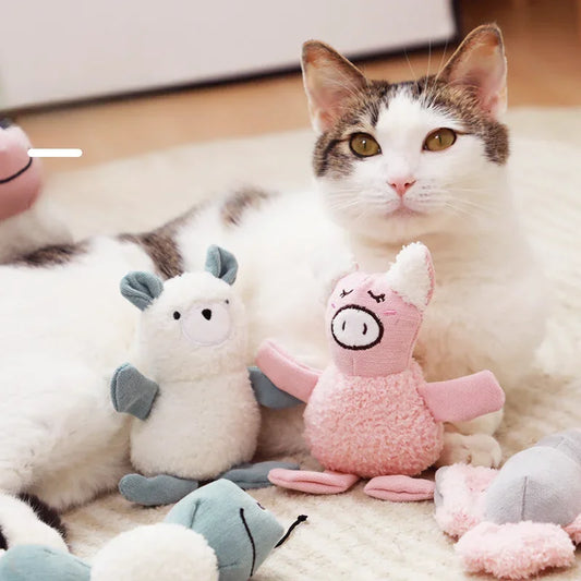 Plush Pig Caterpillar Toy Fun To Play with - MyPetDollar.com
