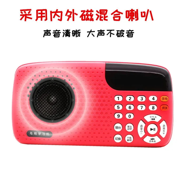 Bird Learning Ma, Training Player, Myna - MyPetDollar.com